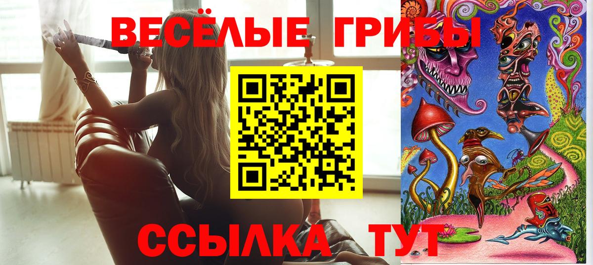 даркнет сайт  Галлюциногенные грибы Cubensis  Вход с VPN  Стерлитамак  Галлюциногенные грибы мухоморы 