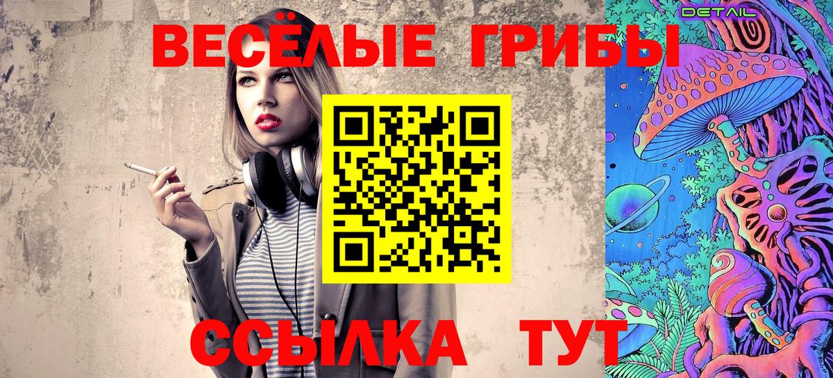 Псилоцибиновые грибы GOLDEN TEACHER Стерлитамак